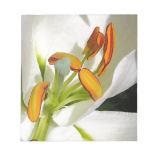 White Lily Anteckningsblock