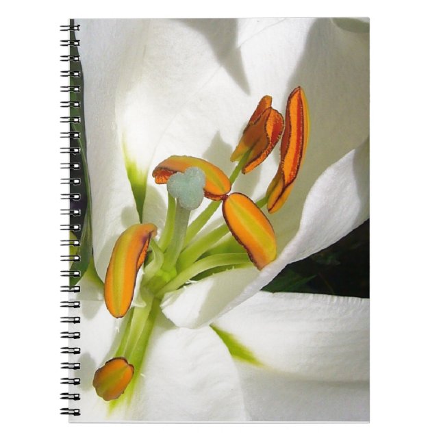 White Lily Anteckningsbok (Framsidan)
