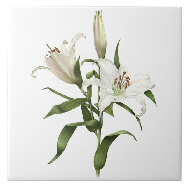 White Lily Asiatic Flowers Botanical Art Kakelplatta (Framsidan)