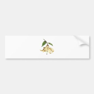 White Lily Bildekal