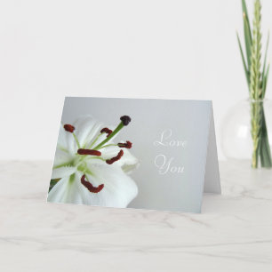 White Lily. Blommor. Kort