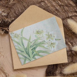 White Lily Brevpapper