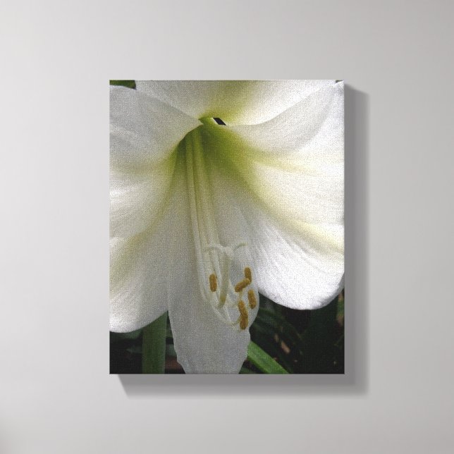 White Lily Canvastryck (Framsida)