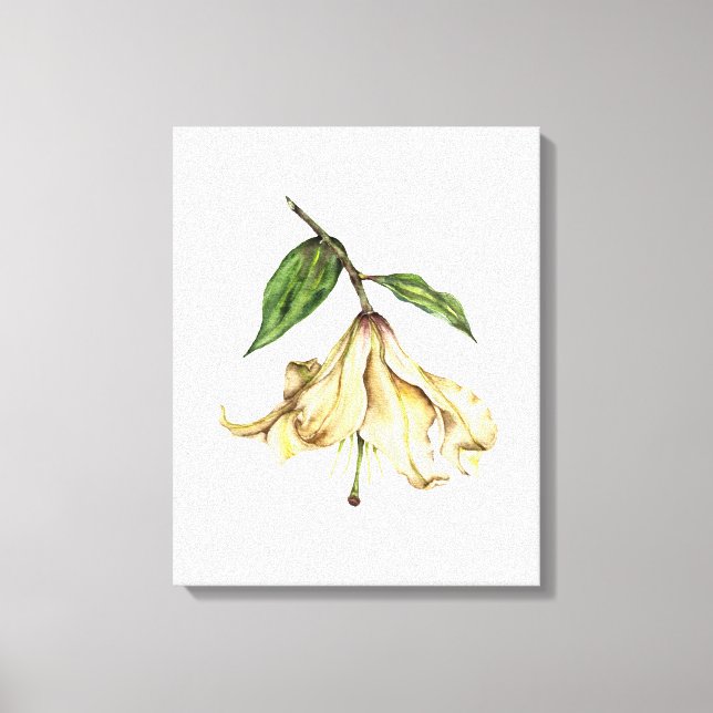 White Lily Canvastryck (Framsida)