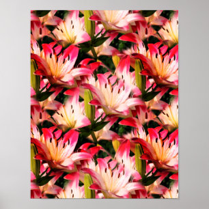 White Lily Flower Nature Mönster Poster