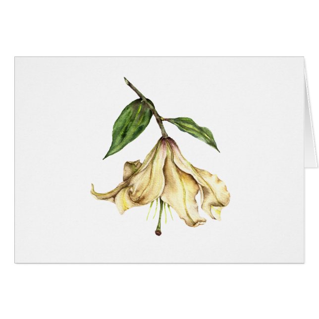 White Lily Hälsningskort (Framsidan Horizontal)