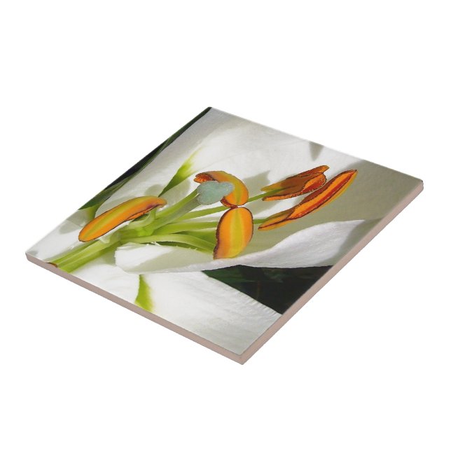 White Lily Kakelplatta (Sidan)