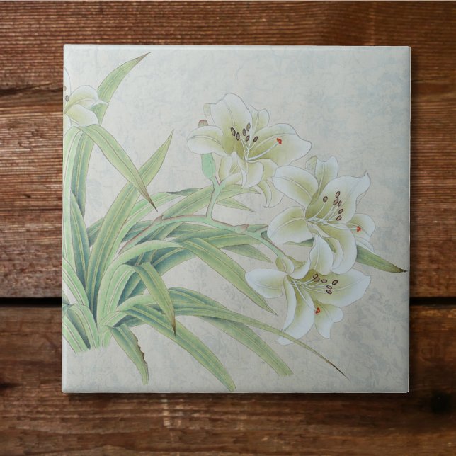 White Lily Kakelplatta (Skapare uppladdad)