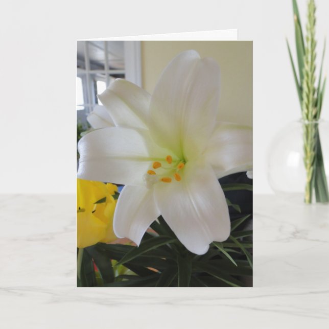 White Lily Påsk Helgkort (Framsida)