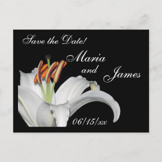 White Lily Spara datumet Meddelande Vykort