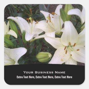 White Lily Stickers Fyrkantigt Klistermärke