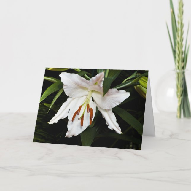White Lily Sympathy Card Kort (Framsida)
