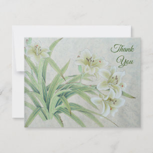White Lily Tack Kort