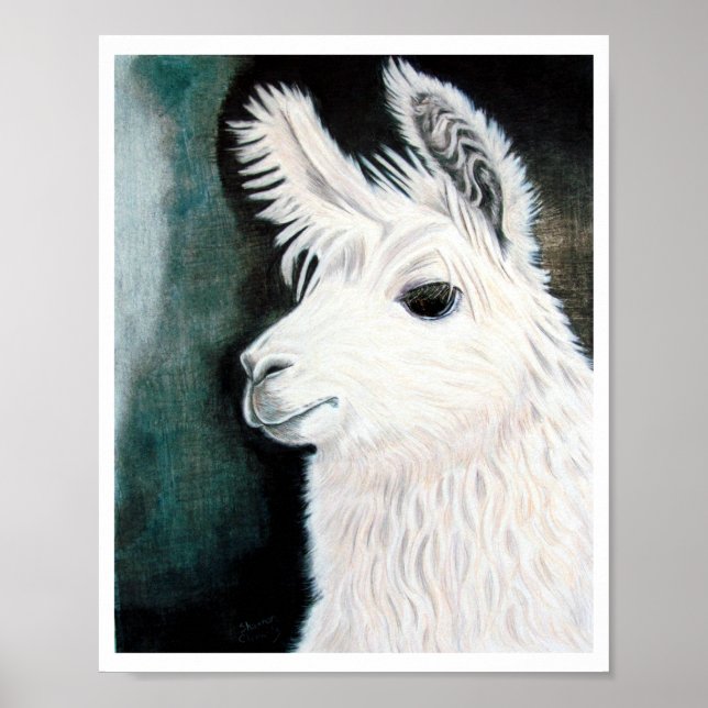 White Llama Poster (Framsidan)