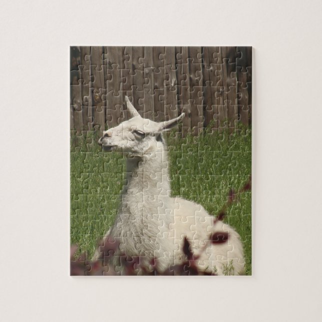 White Llama Pussel (Vertikal)