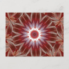 WHITE LOTUS 11 VYKORT