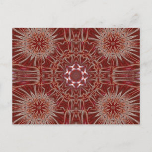 WHITE LOTUS 19 VYKORT