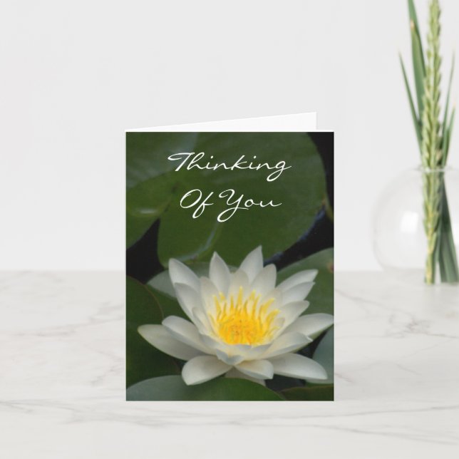 WHITE LOTUS-BLOMMAR KORT (Framsida)