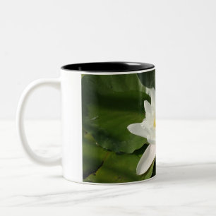 White Lotus Blomsterfotografi Mugg