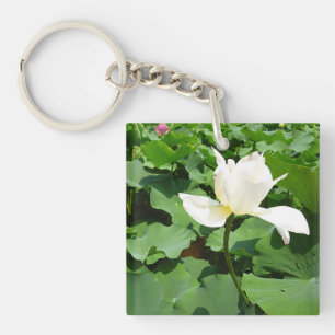 White Lotus Flower