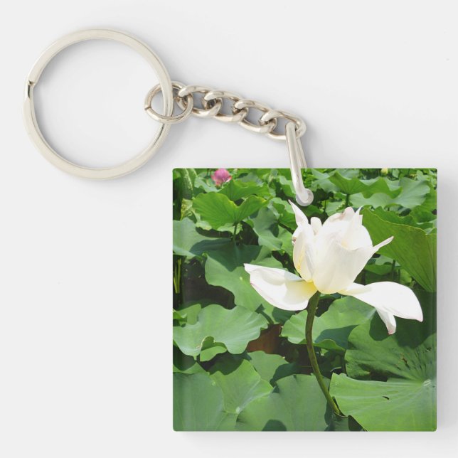 White Lotus Flower (Framsidan)