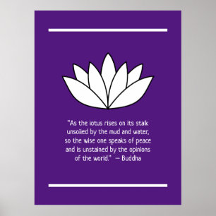 White Lotus Flower och Buddha Quote Poster