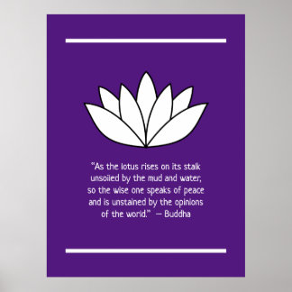 White Lotus Flower och Buddha Quote Poster