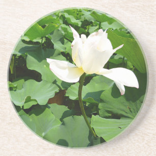 White Lotus Flower Underlägg