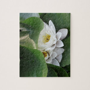 White Lotus Flowers, Botanical Pussel