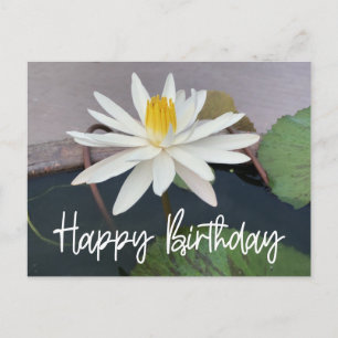 White Lotus i dammen Grattis på födelsedagen Vykort