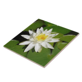 White Lotus Kakelplatta