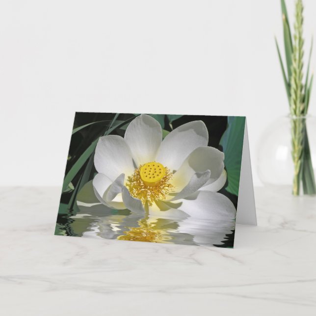 White Lotus Kort (Framsida)