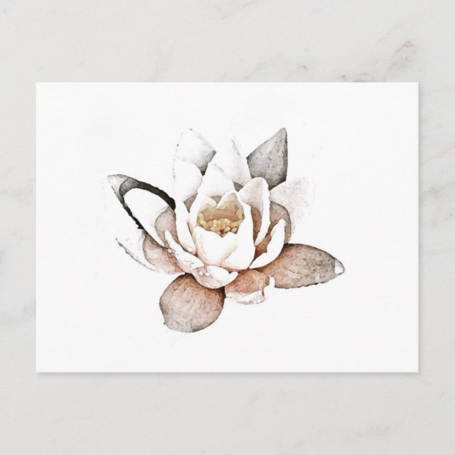 WHITE LOTUS POSTCARD VYKORT (Framsida)