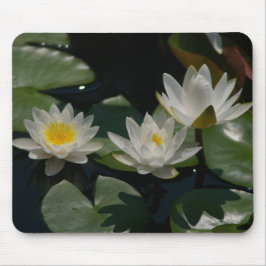 White Lotus Waterlilies Lily Dynors Mouse Pad Musmatta
