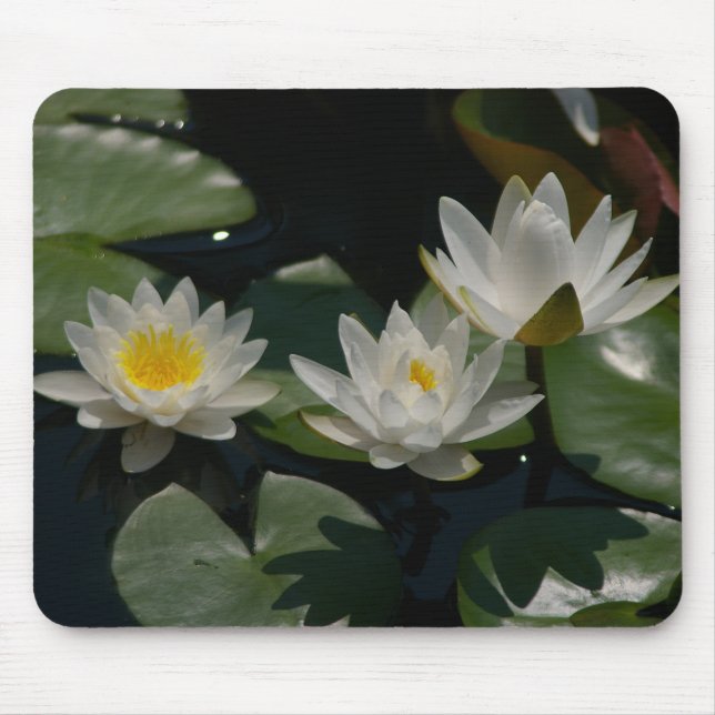 White Lotus Waterlilies Lily Dynors Mouse Pad Musmatta (Framsidan)