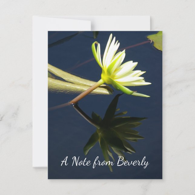 White Lotus Waterlily Anteckningskort (Framsida)