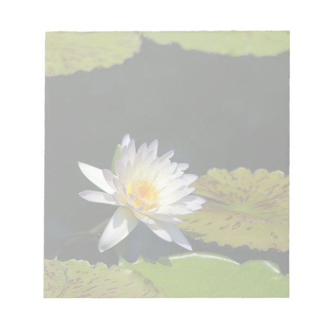 White Lotus Waterlily Flower Anteckningsblock (Framsida)