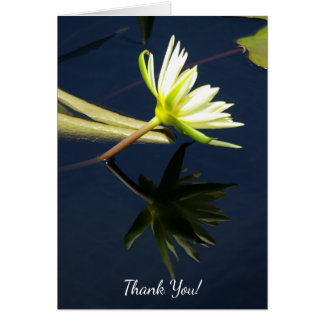 White Lotus Waterlily Hälsningskort