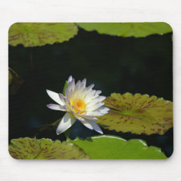 White Lotus Waterlily Lily Dynors Mouse Pad Musmatta