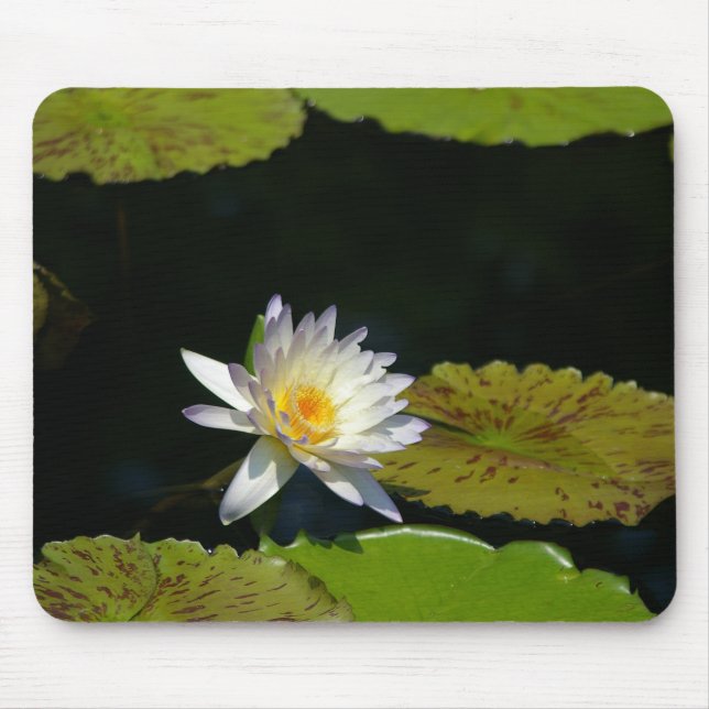 White Lotus Waterlily Lily Dynors Mouse Pad Musmatta (Framsidan)