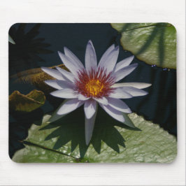 White Lotus Waterlily Lily Dynors Mouse Pad Musmatta