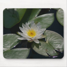 White Lotus Waterlily Lily Dynors Mouse Pad Musmatta
