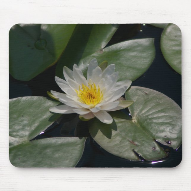 White Lotus Waterlily Lily Dynors Mouse Pad Musmatta (Framsidan)