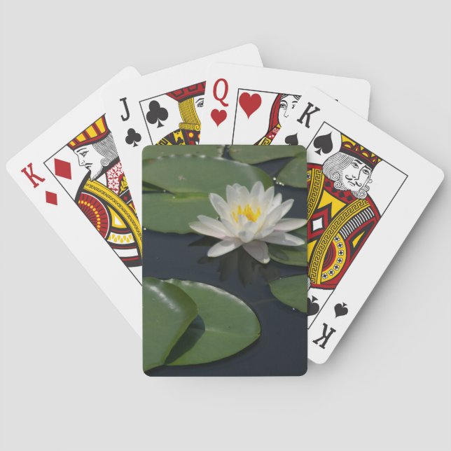 White Lotus Waterlily Spelkort (Baksidan)