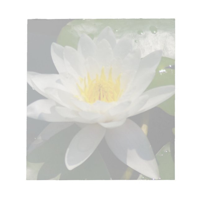 White Lotus Waterllly Flower Anteckningsblock (Framsida)