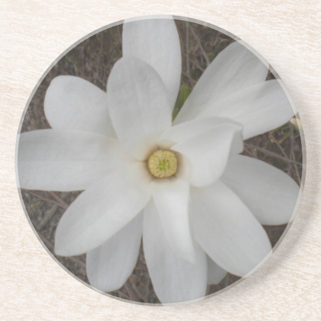 White Magnolia Blommar Underlägg Sandsten (Framsidan)