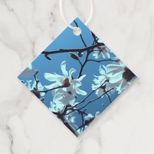 White Magnolia Bloom Blå himmel Gåvor Etiketter (Framsida)