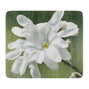 White Magnolia Flower
