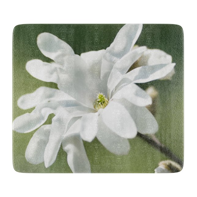 White Magnolia Flower (Framsidan)