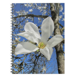 White Magnolia Flower i Träd. Anteckningsbok